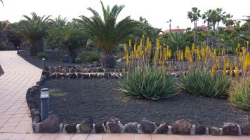 House in Corralejo for   4 •   with terrace 