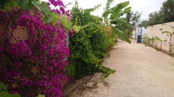 House in Djerba midoun for   7 •   with private pool 