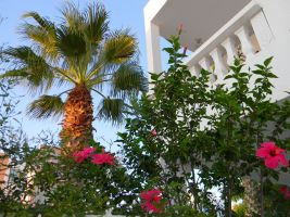 Maison  Djerba pour  6 •   avec balcon 