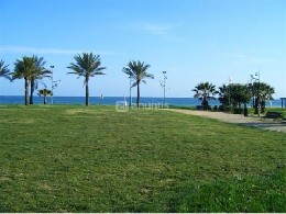  Studio  La Pineda-Salou - Location studios  50 mts plage