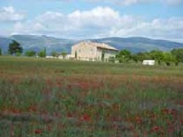 Charmante Bastide 18me - Au coeur du Parc Naturel du Verdon Entre lav...