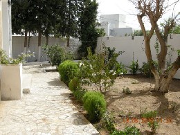 Maison Bizerte - 16 personnes - location vacances