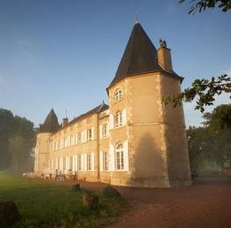 Castle in Neuville les decize for   15 •   with private pool 