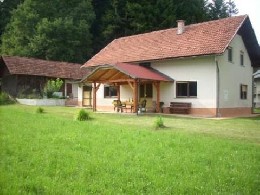 House in Celje for   10 •   with balcony 