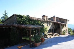 Farm Fratticiola Selvatica - 18 people - holiday home