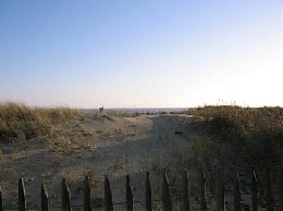 Casa en La tranche sur mer para  6 •   con piscina compartida 