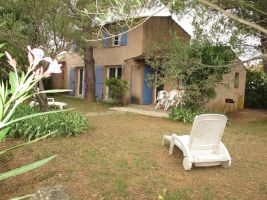 Maison, piscine, jardin