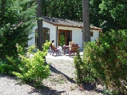 Chalet in Uddel voor  4 •   met terras 