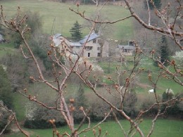 Maison  Nages pour  4 •   avec terrasse 