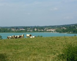 Clairvaux-les-lacs -    2 Sterne 