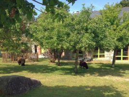 Haus in Trgastel fr  10 •   Privat Parkplatz 