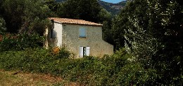 Maison Macinaggio Rogliano - 5 personnes - location vacances