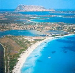 Apartamento en Sardegna para  5 •   vista al mar 