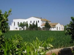 Casa rural en Benaguasil/valencia para  12 •   con balcn 