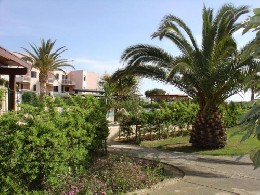 Flat in St cyprien plage for   4 •   with private pool 