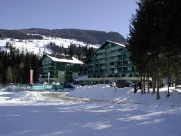 Appartement in Schladming fr  4 •   mit Schwimmbad auf Komplex 