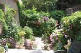 House in Corneilla la rivire for   3 •   with terrace 