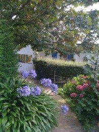 Haus in Ile de brhat fr  5 •   Haustiere erlaubt (Hund, Katze... ) 