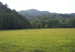 Blowing rock -    with balcony 