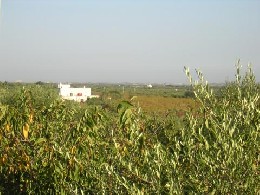 Ferme  Conversano pour  4 •   1 salle de bains 