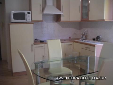 Appartement à Roquebrune-cap-martin - Location vacances, location saisonnière n°22220 Photo n°2 thumbnail