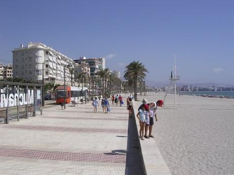 Estudio en Alicante - Detalles sobre el alquiler n°22263 Foto n°1 thumbnail