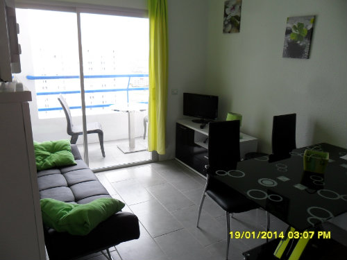 Appartement à Adeje - Location vacances, location saisonnière n°22541 Photo n°3 thumbnail