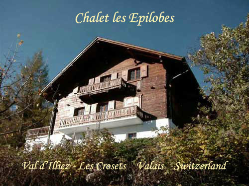 Chalet  Val d'illiez / les crosets pour  8 •   parking priv 