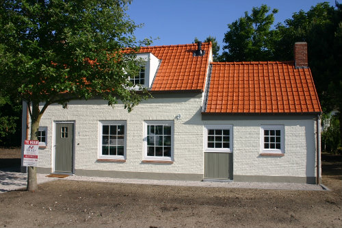 Schadelijk Vlieger Monarch Huis in Cadzand-bad te huur voor 4 personen - Advertentie no 22569