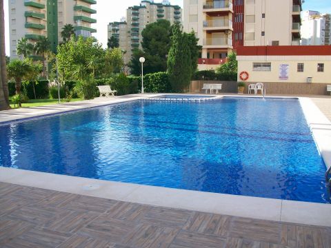 Flat in Gandia - Vacation, holiday rental ad # 22668 Picture #13