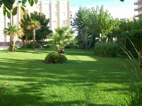 Flat in Gandia - Vacation, holiday rental ad # 22668 Picture #17