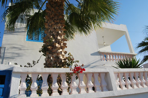 Maison  Djerba midoun pour  10 •   avec terrasse 