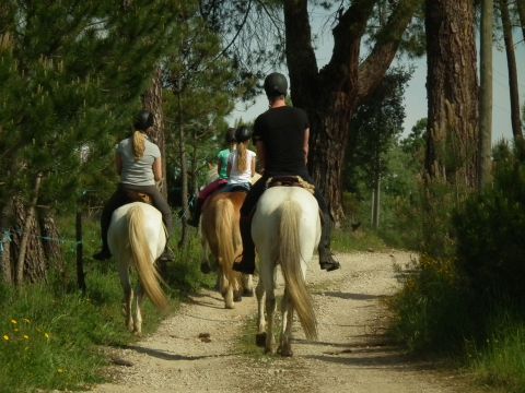 Casa rural en Mides - Detalles sobre el alquiler n22938 Foto n3