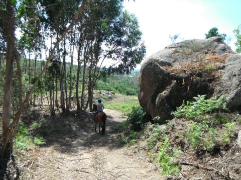 Casa rural en Mides - Detalles sobre el alquiler n22938 Foto n7