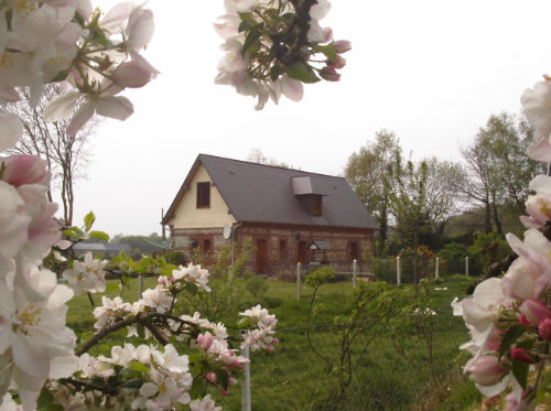 Gite Bec De Mortagne - 6 Personen - Ferienwohnung