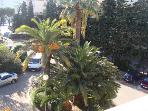 Maison à Sainte Maxime - Location vacances, location saisonnière n°22998 Photo n°4 thumbnail