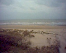 Studio in La panne for   5 •   view on sea 