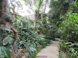 Maison  Captain cook pour  2 •   jardin 