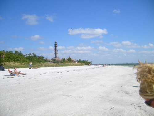 Cape Coral photo