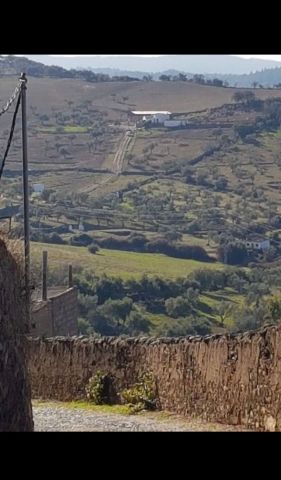 House in Encinasola - Vacation, holiday rental ad # 23208 Picture #19