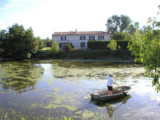 Maison 12/15 personnes - Marais poitevin 