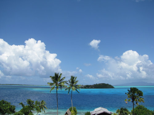 House in Bora-Bora - Vacation, holiday rental ad # 23462 Picture #4 thumbnail