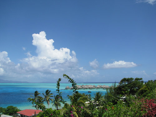 House in Bora-Bora - Vacation, holiday rental ad # 23462 Picture #5