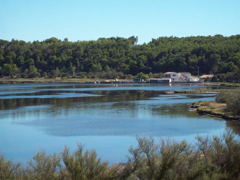 Studio  Sigean pour  4 •   vue sur lac 