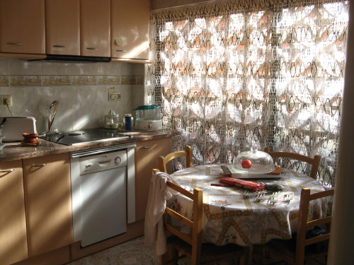 Flat in Rosas - Vacation, holiday rental ad # 23544 Picture #5