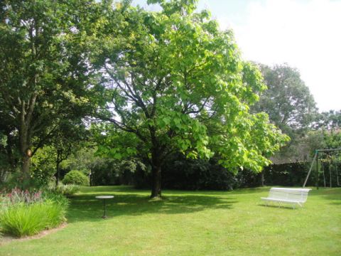 Casa rural en Chteau-Guibert - Detalles sobre el alquiler n23804 Foto n12