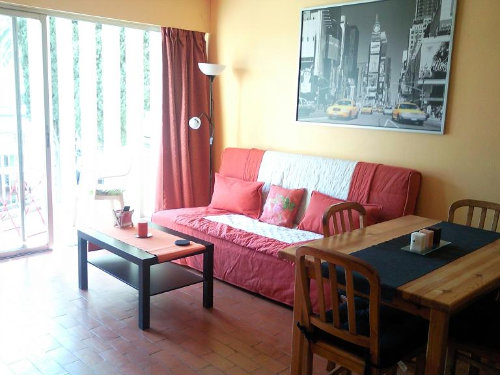 Flat in Le Lavandou - Vacation, holiday rental ad # 23878 Picture #3