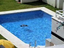 Appartement in Torrox costa voor  4 •   priv parkeerplek 