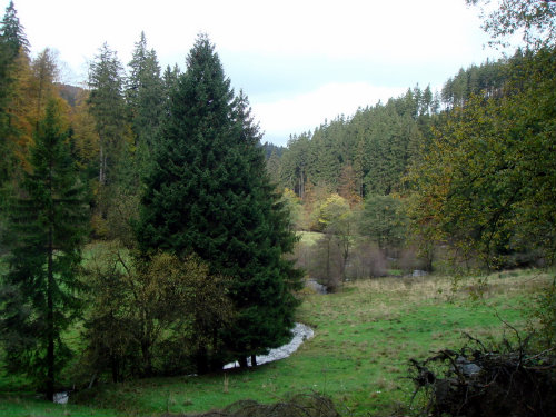 Medebach photo