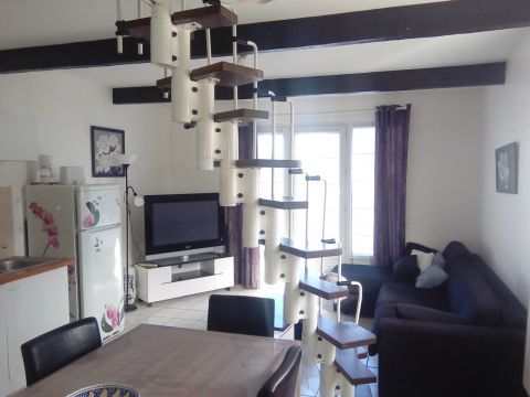 Gite in Vattetot sur mer - Vacation, holiday rental ad # 24135 Picture #12